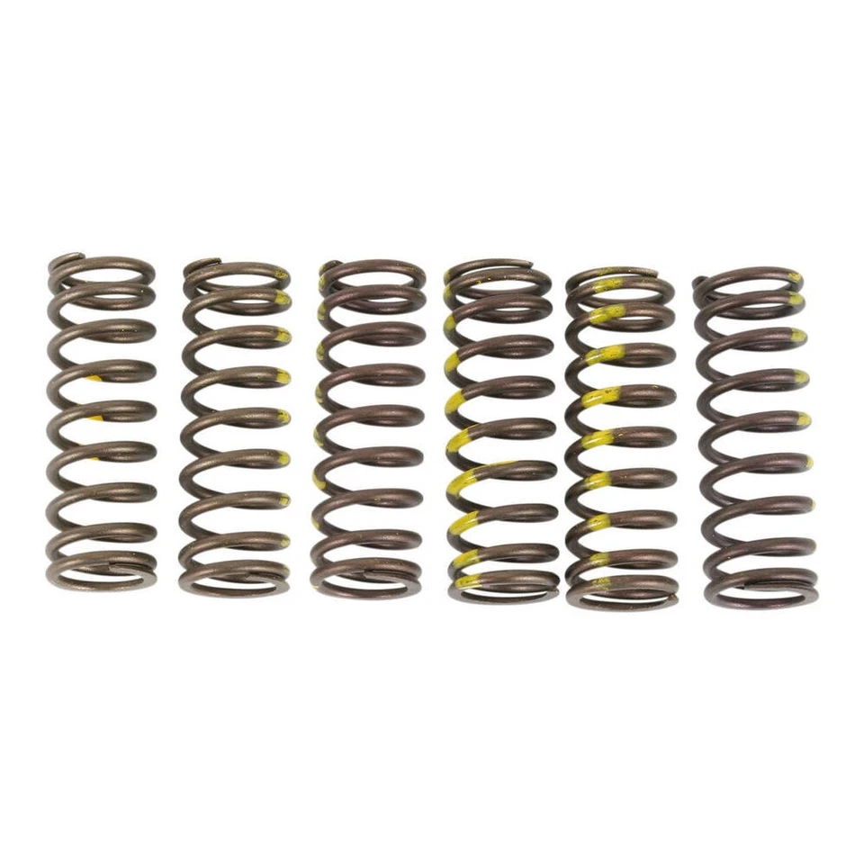 Juego de muelles de embrague Pro Circuit SPRINGS CLUTCH RMZ450 Foto 1 de 4