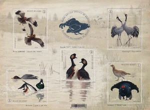 Belgien 2024 Block 291 ** MNH Vögel Balzverhalten Birds - Picture 1 of 1