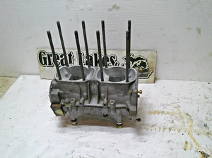 Juego de estuche cárter motor moto nieve SkiDoo Rotax 503 Formula Deluxe SL P8 - Imagen 1 de 7