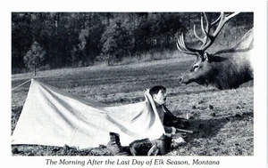 Morgen nach dem letzten Tag der Elchsaison Neuheit Jagd Montana Chrom Postkarte - Bild 1 von 2