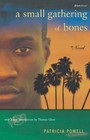 A Small Gathering of Bones [Bluestreak]