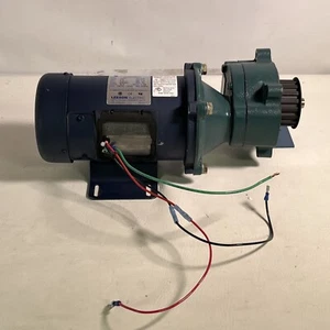 Motor de imán permanente LEESON 098032.00 C42D17FK7D y velocidad DODGE ANGLE 156HA556 - Imagen 1 de 10