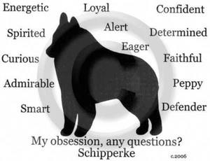 Schipperke Hund Meine Obsession, Noch Fragen? T-Shirt Auswahl - Bild 1 von 7