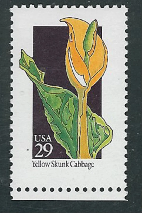 Scott #2693...29 Cent....Wild Flowers/Yellow Skunk Cabbage...2 Stamps - Image 1 of 1