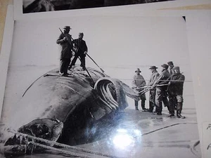 2 ANTIKE WALFANG-FOTOABZÜGE VON SCHLÜSSELSTEIN-PROJEKTIONSDIAS 5 X 7 ZOLL - Bild 1 von 12