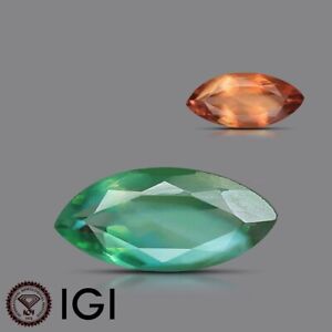 IGI Certified ALEXANDRITE 0.47 Ct Natural Marquise Green Loose Gemstone