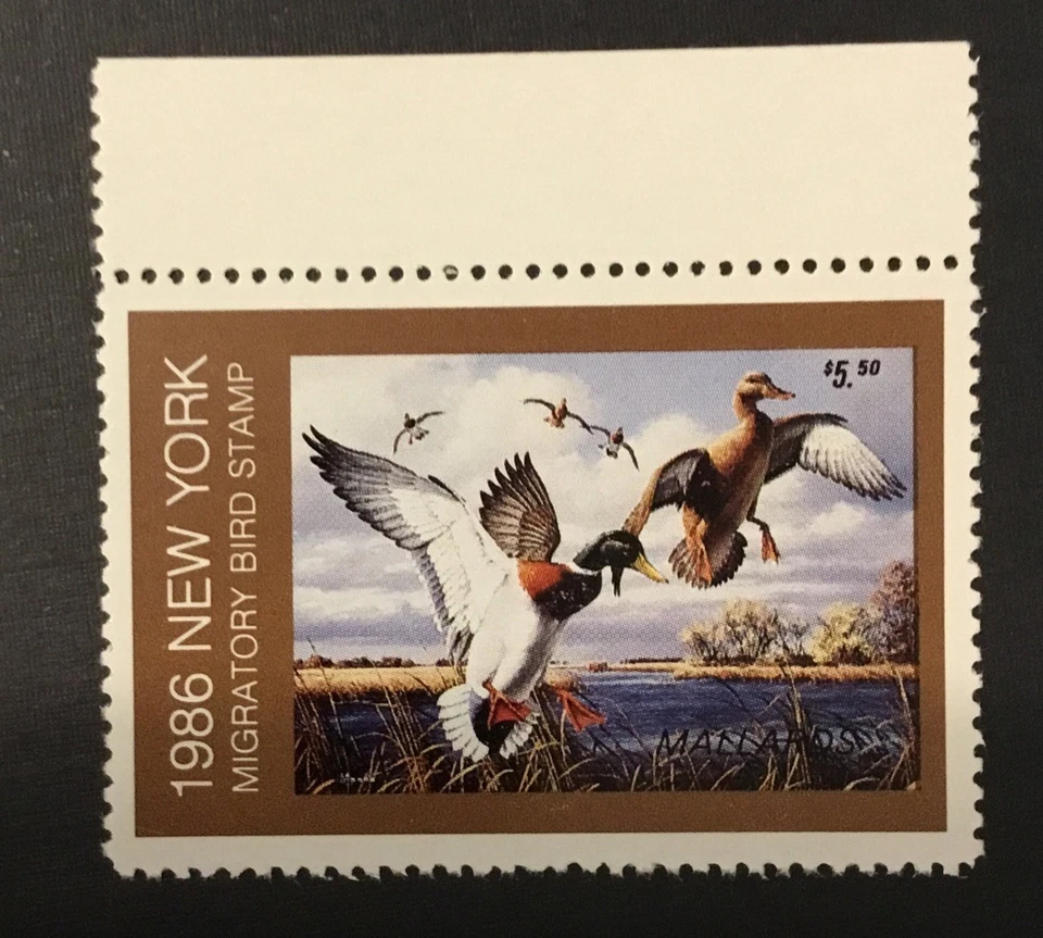 NOVO PATO DO ESTADO DO MÉXICO #2. - ESTADO PERFEITO, NUNCA ARTICULADO - SCV: US$ 14,00 - Imagem 1 de 1