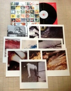 PEARL JAM / NO CODE - LP (gedruckt in EU 1996 - inkl. Polaroids) RAR !!! - Bild 1 von 2