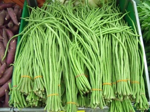 Meterbohne - Spargelbohne - Yard long bean 5+ Samen - Seeds RARITäT! H 008 - Bild 1 von 2