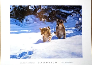 CAUTIOUS APPROACH, BY JOHN BANOVICH, COUGARS HUNTI NG - Picture 1 of 2