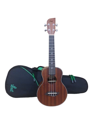 Leaf Series C100 All-Mahogany Concert Ukulele,Satin+10mm Padded Gig Bag, 4Colour - Image 1 of 4