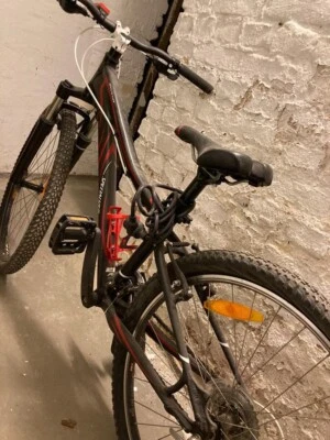 Kinder / Damen Mountain Bike Specialized 2011 MYKA HT SPORT - Bild 1 von 3