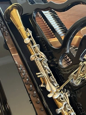 Clarinete Penzel Mueller “gloritone” vintage Foto 1 de 4