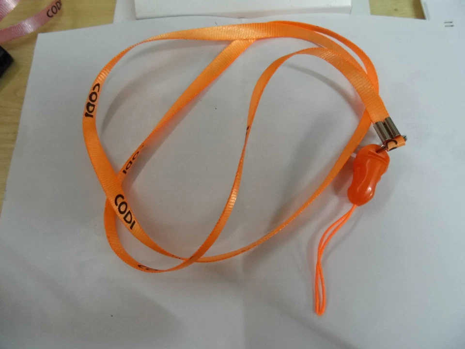 CODI - PORTATELEFONO TRACOLLA MINI ARANCIONE Foto 1 de 1