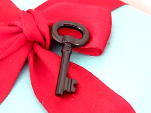 Brandneu Tiffany & Co Schwarze Jade Edelstein Schlüssel Charm Anhänger - Bild 1 von 4