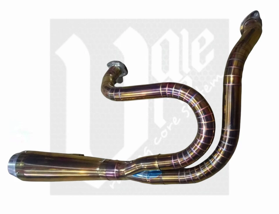 Custom Exhaust 2 Into 1 Models For Harley Davidson Sportster 883, XL 1200, 48  - Image 1 of 1