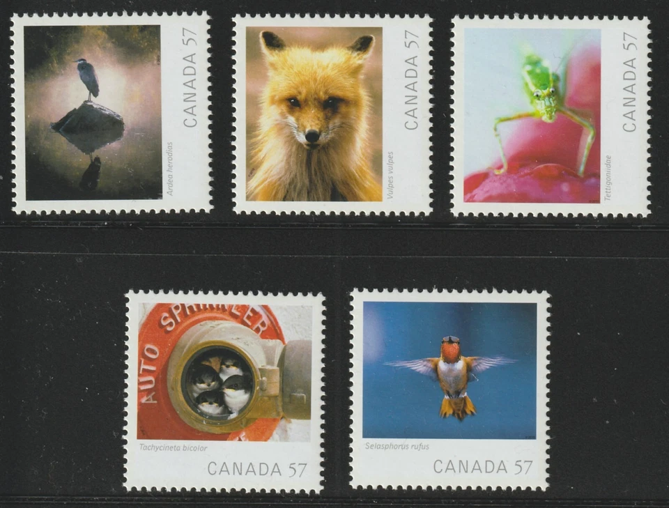 Canada #2388a-e, Wildlife Photography, Birds, Set of 5 from S/S, MNH 2010 - Image 1 of 1