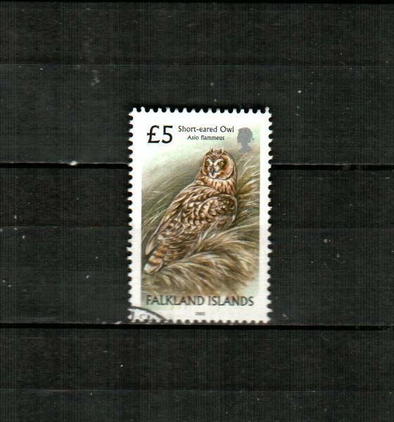 FALKLAND ISLANDS Scott's 841 ( 1v ) Short-eared Owl F/VF Used ( 2003 ) #1 - Image 1 of 1