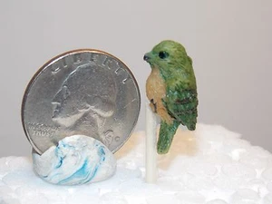 Dollhouse Miniature Bird Green Tan Parrot 1:12 inch scale B318 Dollys Gallery - Picture 1 of 3