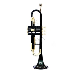 IMI Galaxy Model Trumpet With All Accessories Including Mouthpiece & Case. - Picture 1 of 4