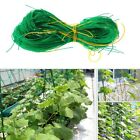 Plastic Garden Climbing Supports for Healthier Green Bean and Cucumber Plants