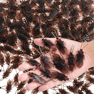 300 Pcs Prank Fake Cockroaches Scary Insects Realistic Bugs for Halloween Party - Picture 1 of 5