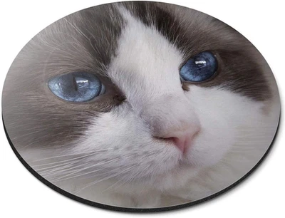 Pretty Ragdoll Cat Blue Eyes – Tappetino per Mouse Rotondo Flessibile in Gomma D - Immagine 1 di 4
