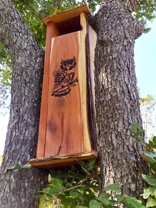 Screech Owl Nest Box, Live Edge Cedar Wood, Owl Art, Handmade, Owl House - Picture 1 of 7