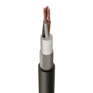 2,5 mm SWA Stahldraht gepanzert 3-adrig Kupfer Außenkabel, 6943X, zuschneidbar - Bild 1 von 2