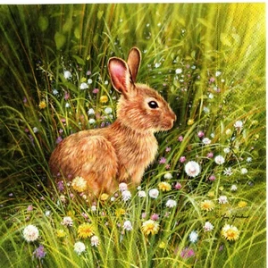 SERVIETTES EN PAPIER LAPIN DANS LES FLEURS. PAPER NAPKINS RABBIT IN THE FLOWERS - Imagen 1 de 1