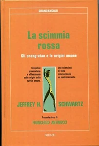 Jeffrey Schwartz = LA SCIMMIA ROSSA = ORANG-UTAN E UOMO - Picture 1 of 1