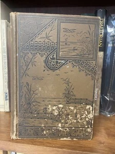 1890s THE YOUNG LADY’S OWN BOOK Thornwell ANTIQUE - Picture 1 of 9