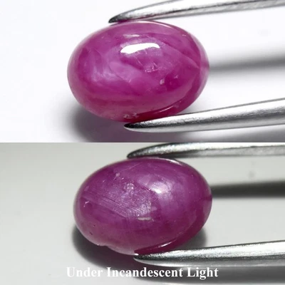 💎 1.20ct 7x5mm Oval Cabochon Natural Purplish Red 6 Ray Star Ruby - Heated, Gem - Image 1 of 4
