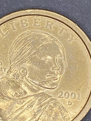 2000 sacagawea dollar error Cover