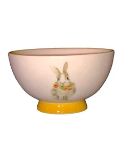 Pier 1 Tazón de Cereal Conejito Amigos Conejo Borde Amarillo Pascua Primavera Patas - Imagen 1 de 5