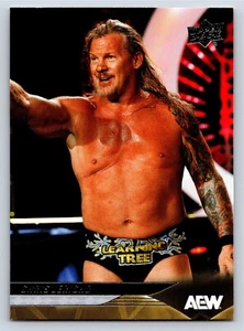 Tarjeta Base Chris Jericho 2025 Upper Deck AEW # 18 - Imagen 1 de 2