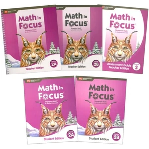 Grade 7 Math in Focus 2020 Homeschool Curriculum Student Teacher Edition Tests - Imagen 1 de 1