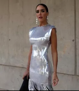 ZARA NEW WOMAN SEQUINNED MINI DRESS WITH FRINGING SILVER Size S 9249/407 - Picture 1 of 8