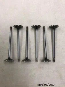 6 x Intake Valve for Chrysler Grand Voyager 3.3L & 3.8L 2001-2010 EEP/RG/061A - Picture 1 of 4