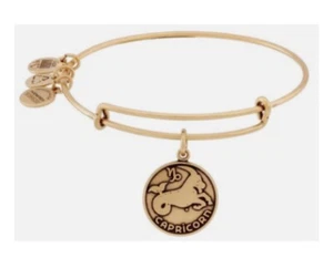 Alex und Ani Sternzeichen Steinbock Damen Bettelarmreif Armband - Rafaelian Gold - Bild 1 von 1