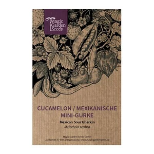 Cucamelon, Mexikanische Mini-Gurke (Melothria scabra) ca 10 Samen - Bild 1 von 6
