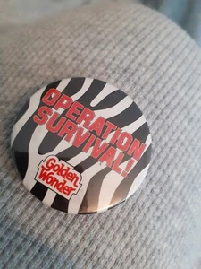 Golden Wonder Vintage badge - Picture 1 of 2