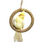 Natural Ring Swing Rattan Chew Toys for Small Pet Parrots Toy