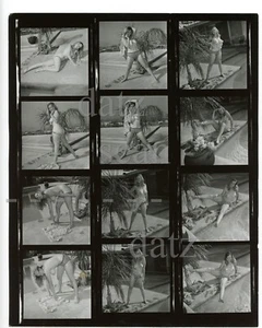 Hoja de fotos de contacto Ron Vogel años 60 - chica pinup desnuda Janell Cantrell-v500079 - Imagen 1 de 2