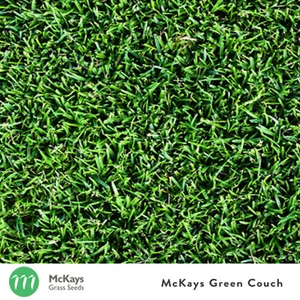 McKays Bermuda Couch Grass Seed Blend - 1kg - Lawn Seed - Picture 1 of 3