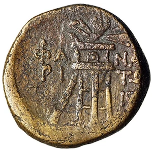 Pontos, Phanagoria AE20 "Apollo & Tripod, Thyrsus" Rare - Picture 1 of 5