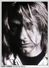 Kurt Cobain - Japan 1992 Poster 23.5X33 Inch - Laminated
