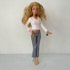 2005 The Barbie Diaries Barbie Roberts Doll w/ Top Shirt Jeans Bracelet H7588