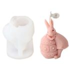 Food Grade Silicone Easter Rabbit Egg Plaster Bunny Mold for DIY Decoration