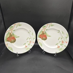 Set of 2 Lenox WINTER GARDEN 9.5" Inch Luncheon Plates ANJOU PEAR CHINABERRY - Picture 1 of 4